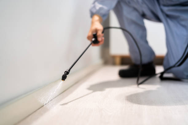 Licensed Pest Control service in Abbeville, GA - Show Me Pest Control