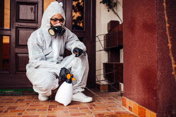 Reliable Wasp Removal contractor in Abbeville, GA by Show Me Pest Control
